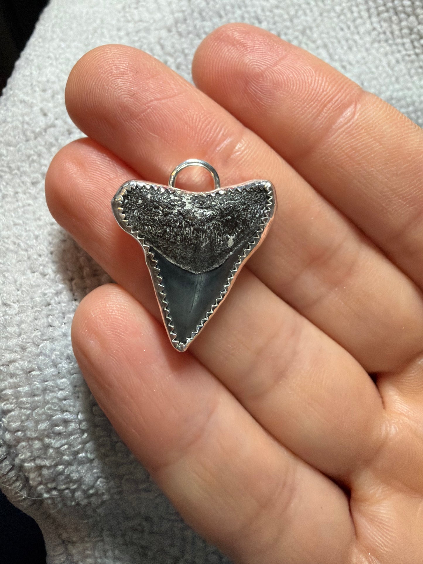 Custom Shark Tooth Necklace