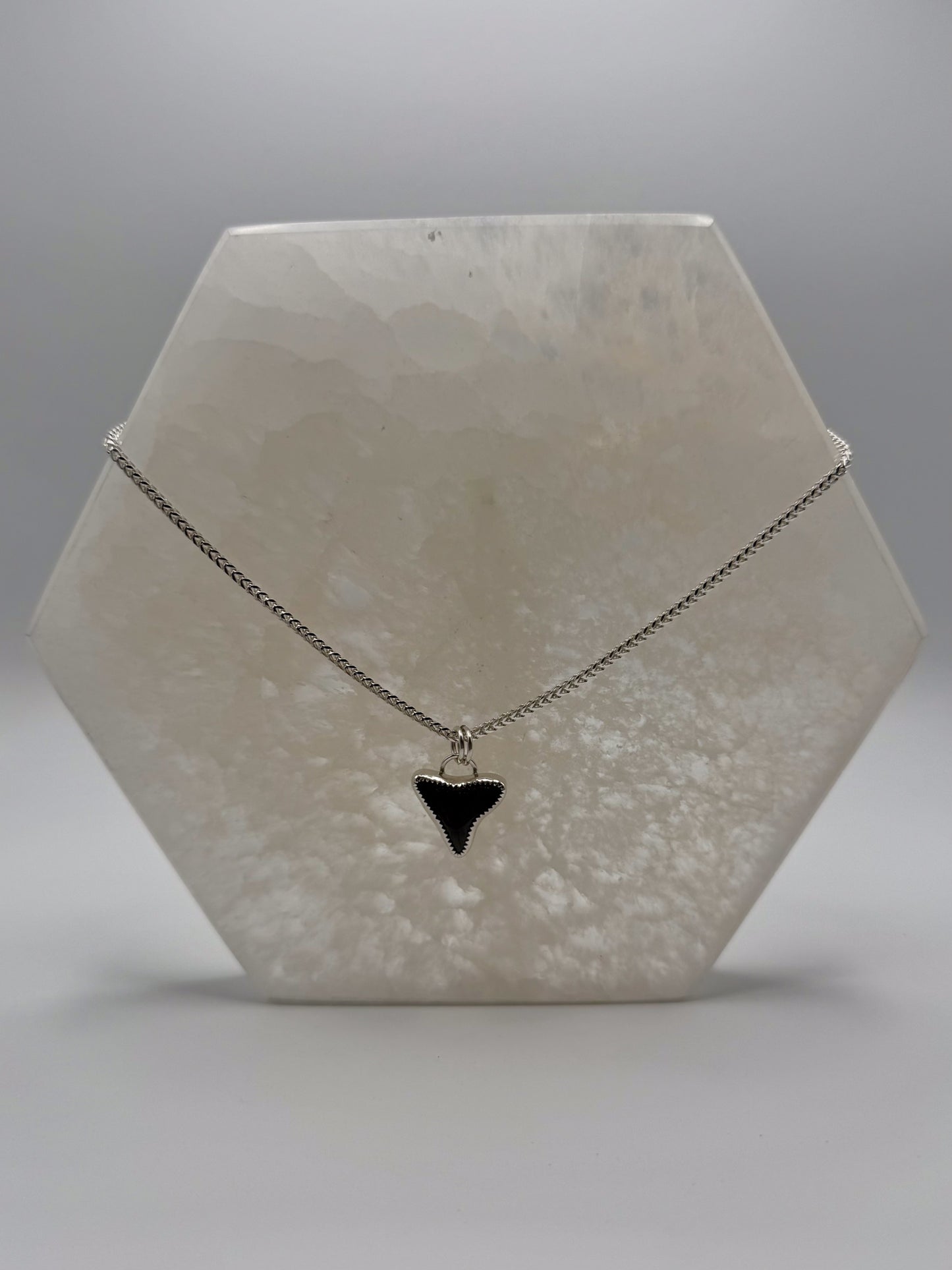 Tidebreaker Flow Necklace | Shark Tooth Paperclip / Square Box Chain Necklace