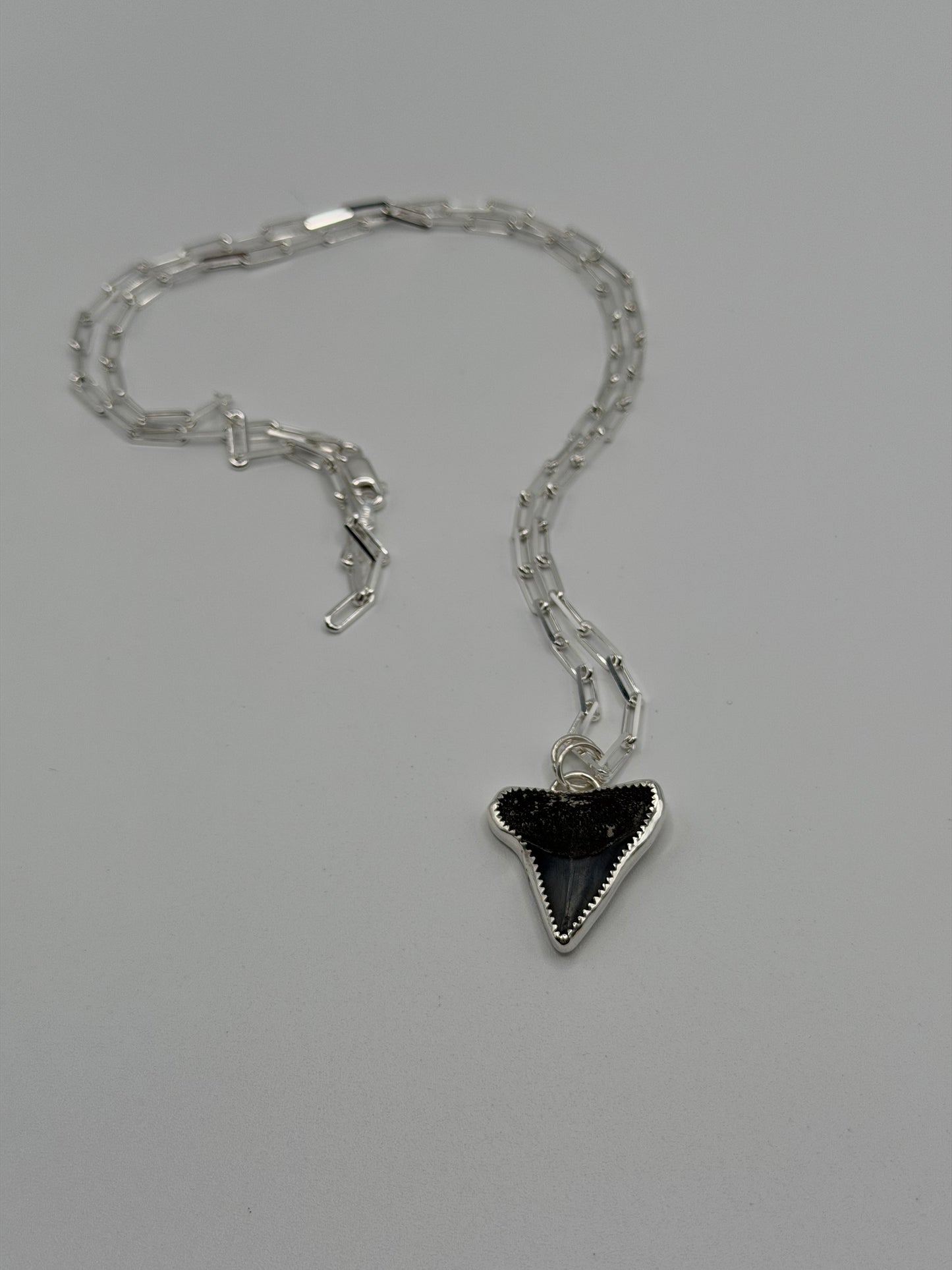 Custom Shark Tooth Necklace