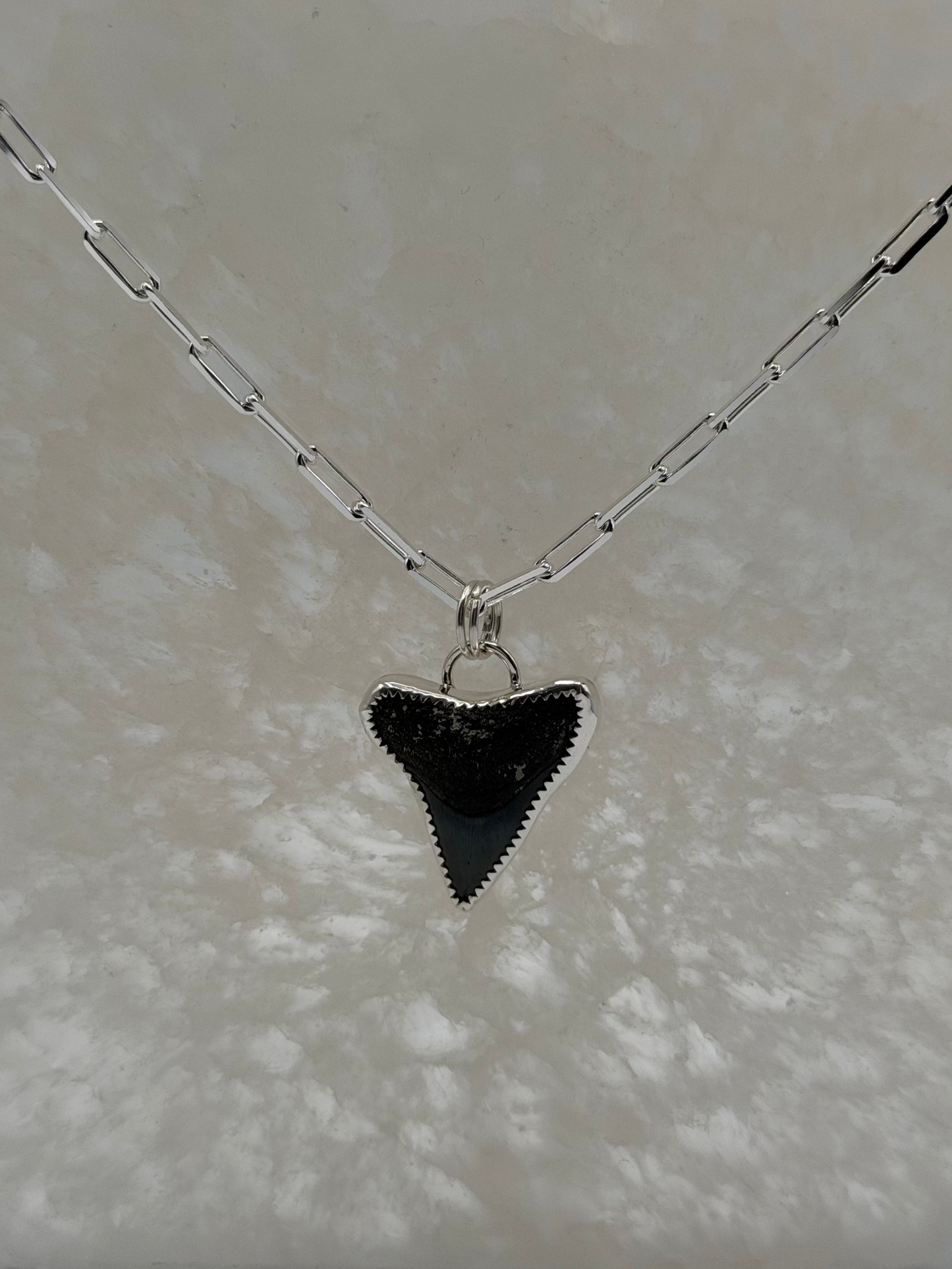 Custom Shark Tooth Necklace