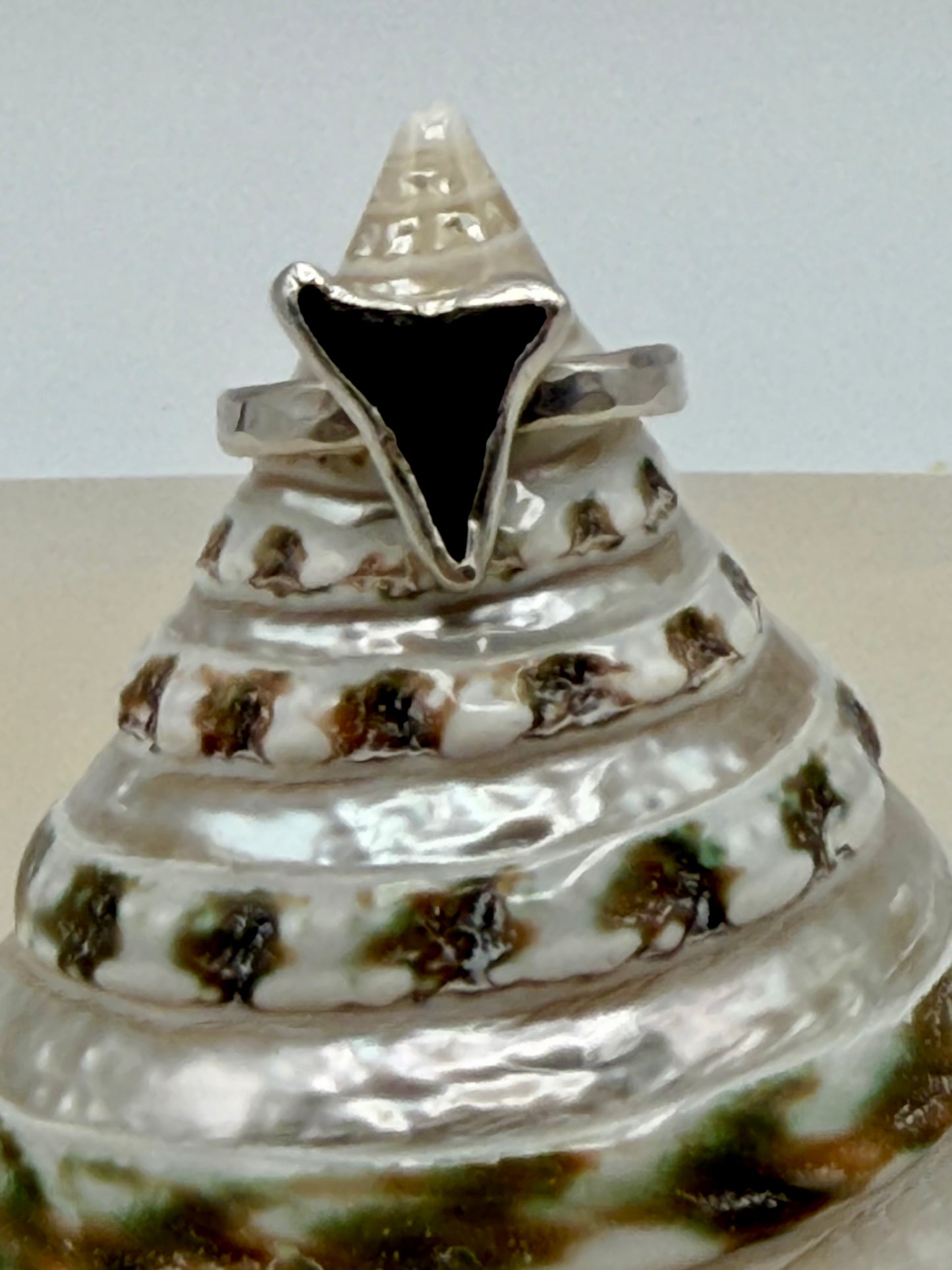 Tidebreaker Ring | Shark Tooth Silver Ring // Size 6.5