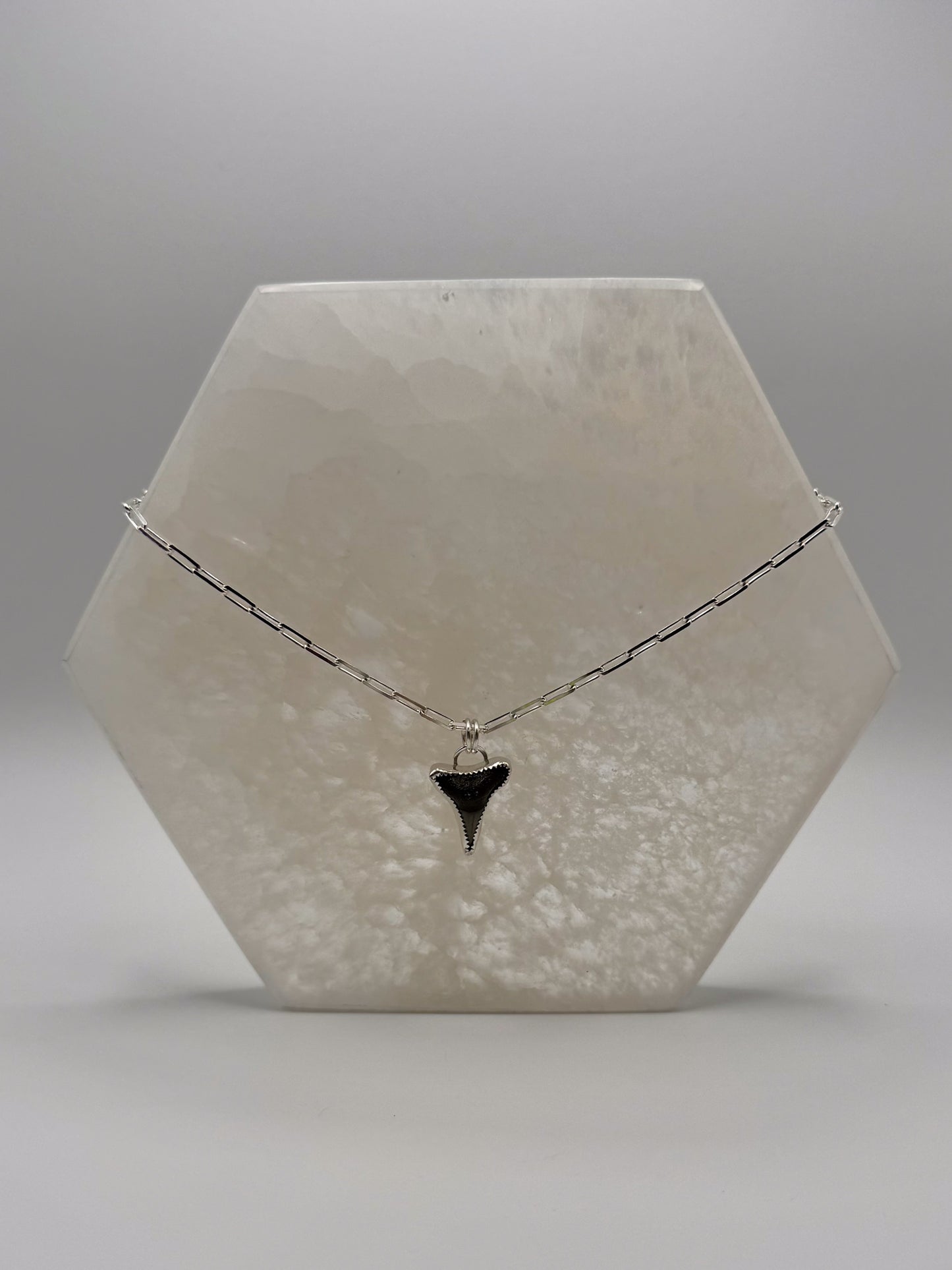 Tidebreaker Flow Necklace | Shark Tooth Paperclip / Square Box Chain Necklace