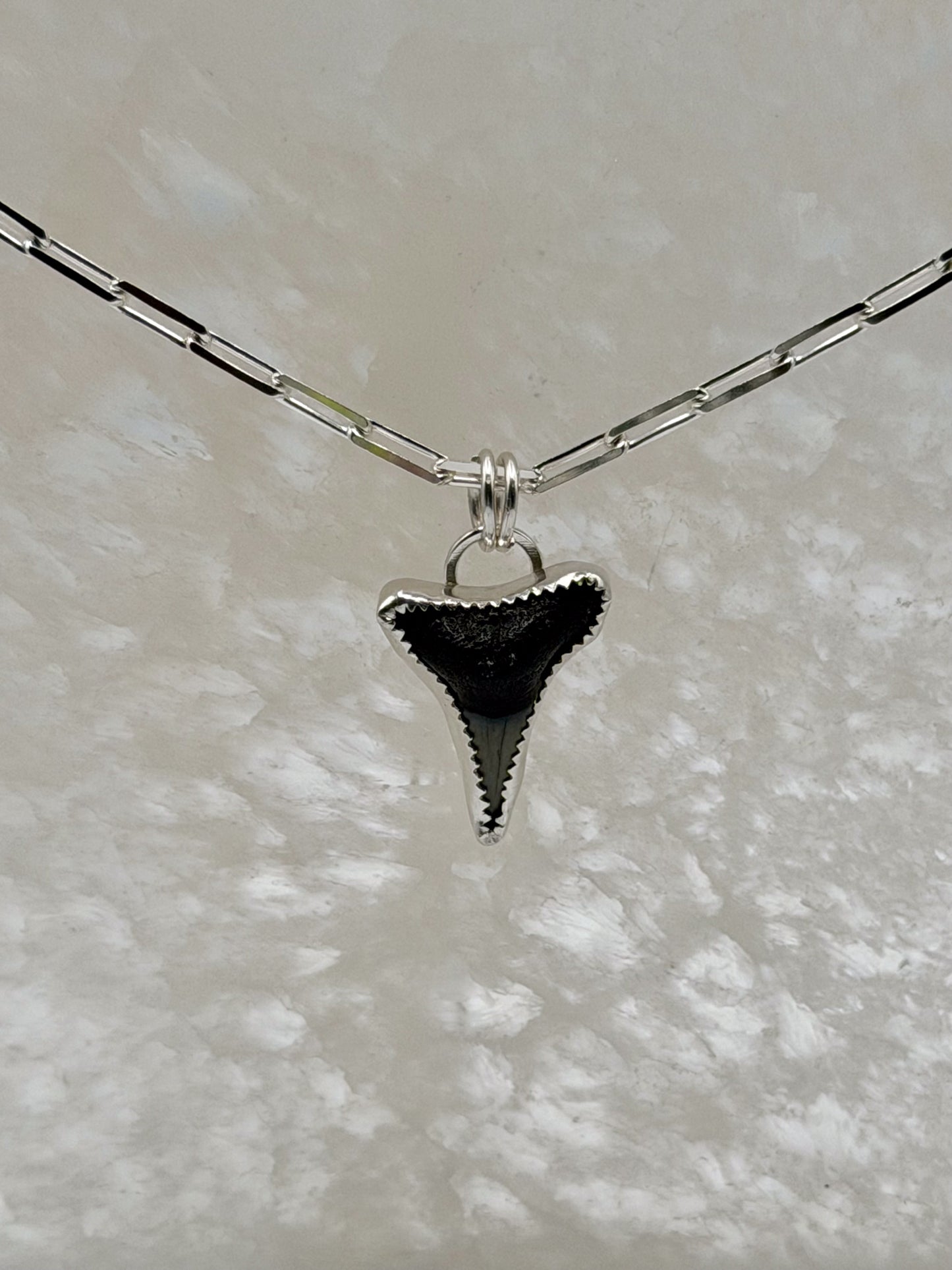 Tidebreaker Flow Necklace | Shark Tooth Paperclip / Square Box Chain Necklace