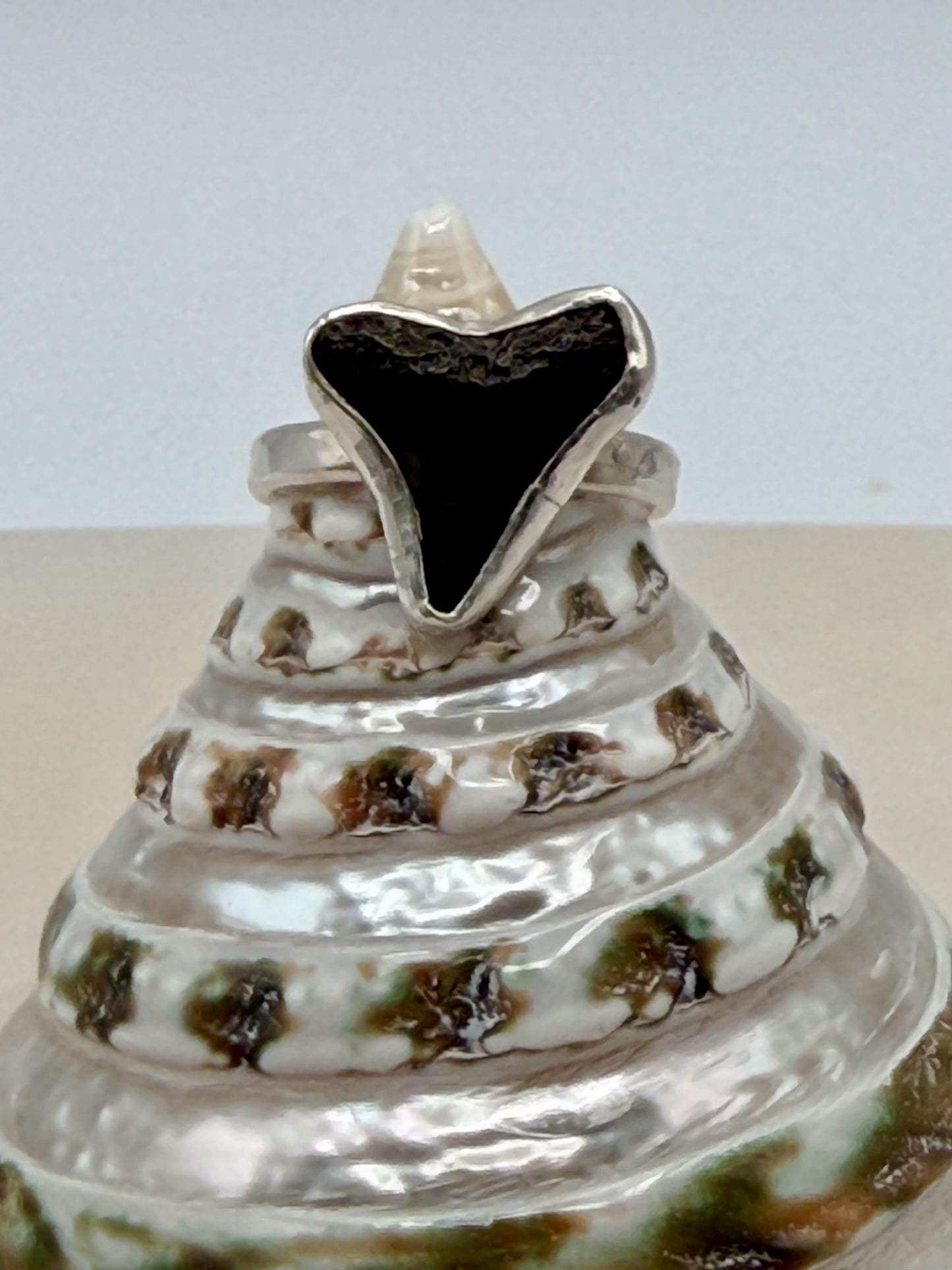 Tidebreaker Ring | Shark Tooth Silver Ring // Size 5.5